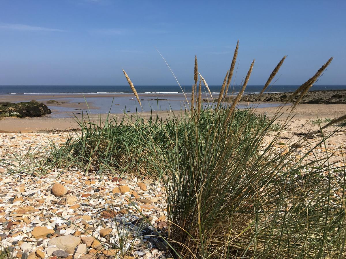 Maple Cottage B&B Gullane Dış mekan fotoğraf